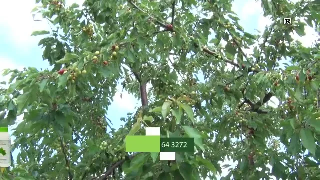 Tarımda Başarı