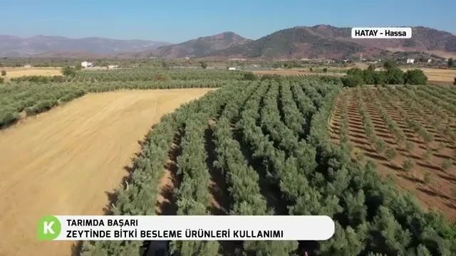 Tarımda Başarı