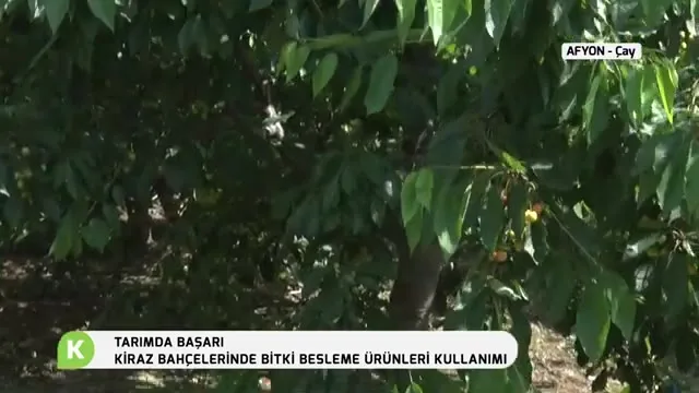 Tarımda Başarı
