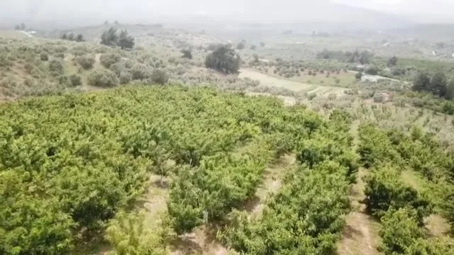 Tarımda Başarı