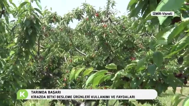 Tarımda Başarı