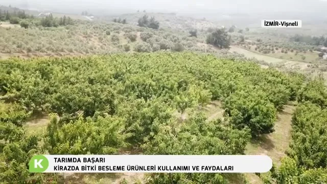 Tarımda Başarı