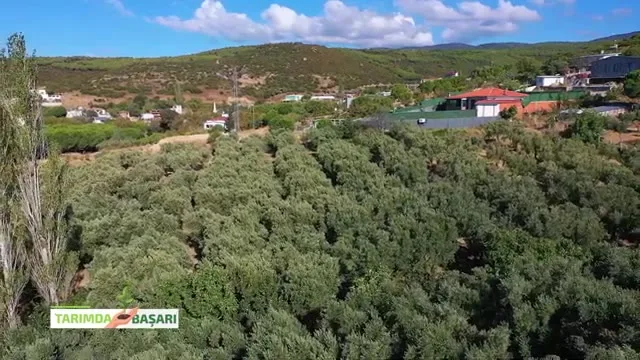 Tarımda Başarı