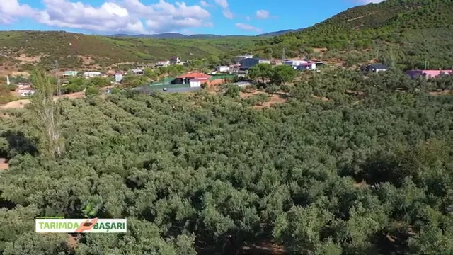 Tarımda Başarı