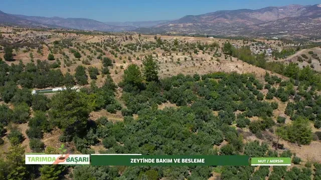 Tarımda Başarı